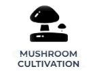 Cleanroom Mushroom Cultivation